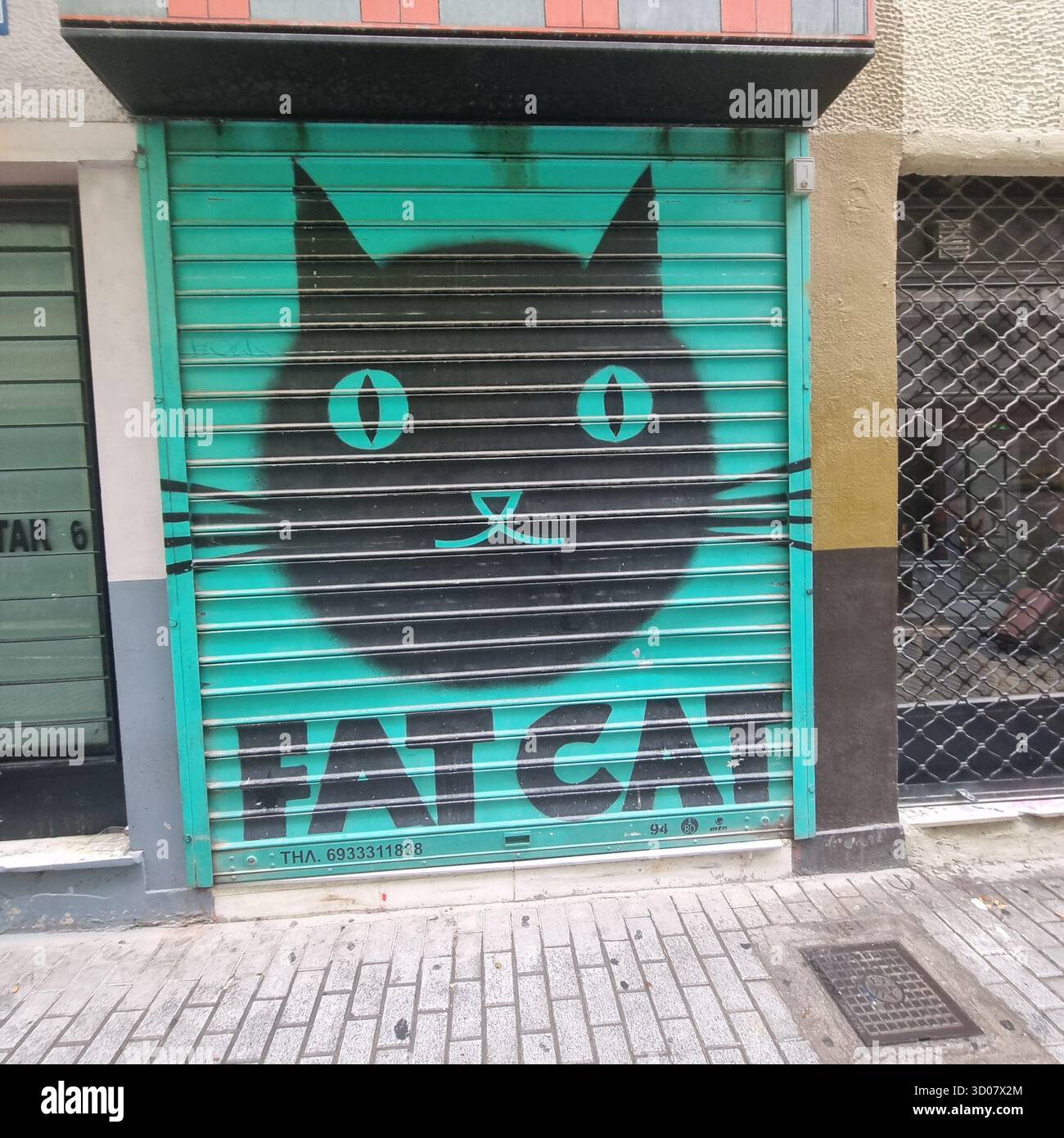 Fat Cat in Athens Greece - Smartphone Captured Stock Image