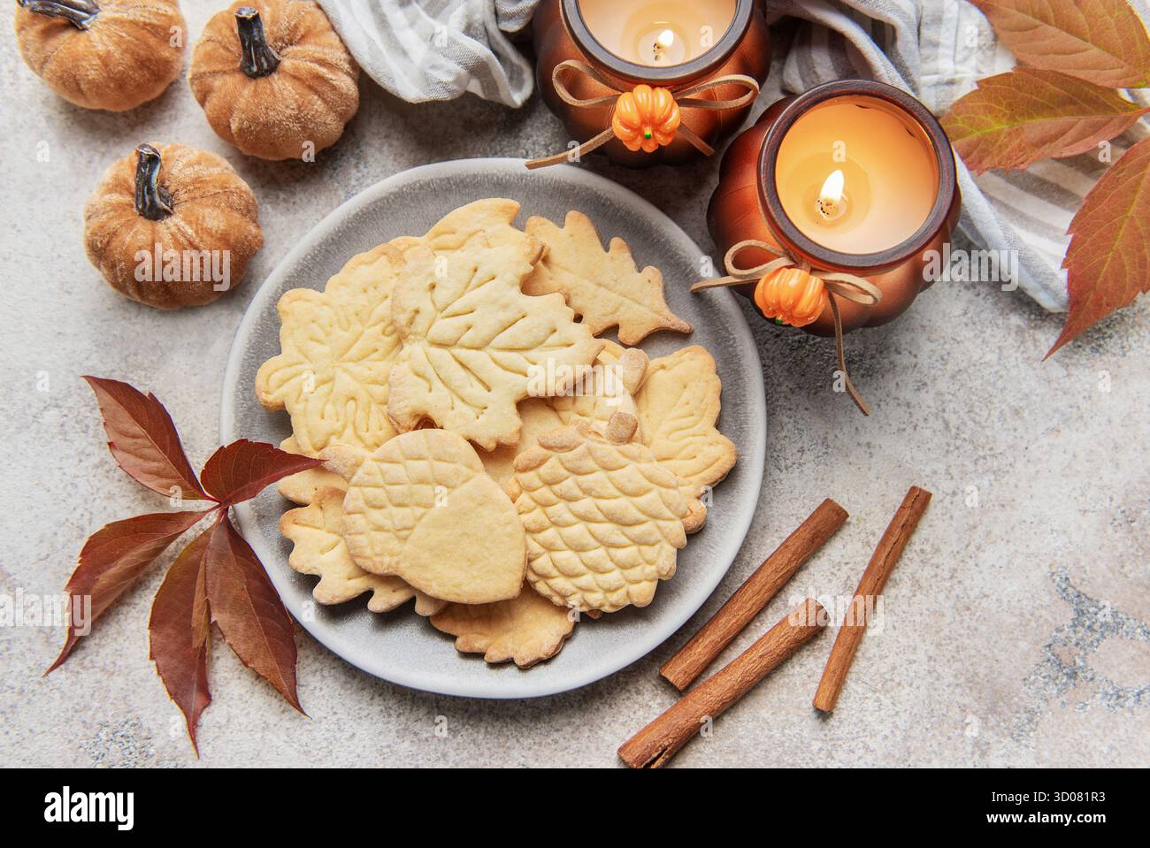 Fall themed shortbread cookies arranged on a plate with cinnamon sticks ...