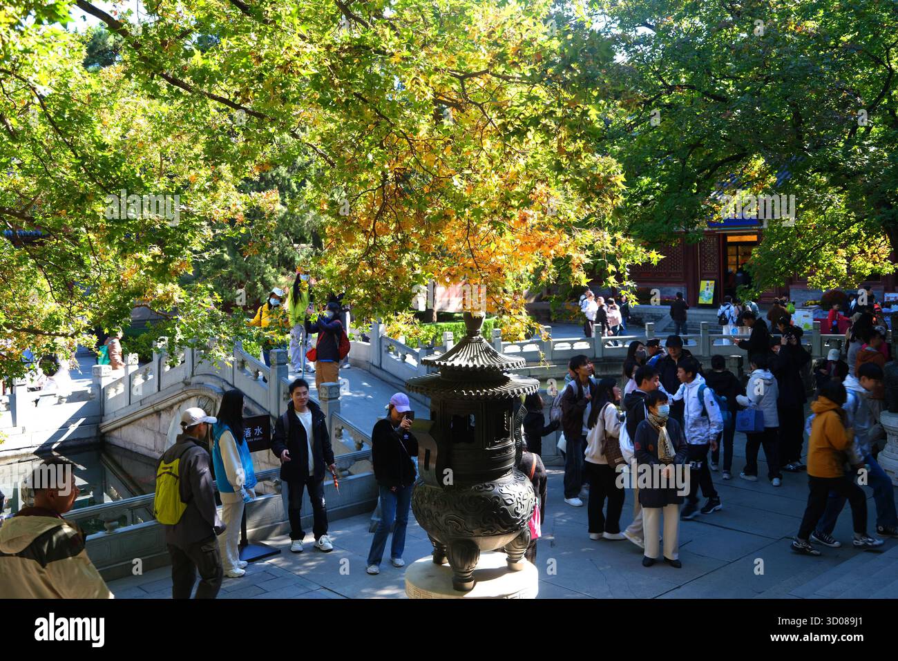 Autmn Beijing Autumn scenery of Xiangshan Park draws tourists, Beijing, China, 19 ...