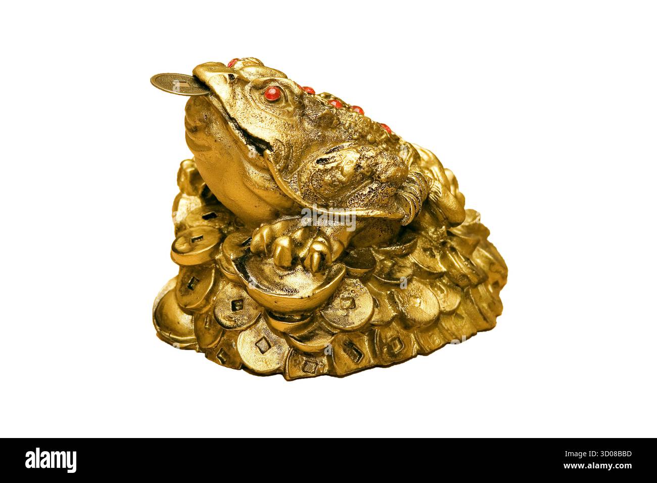 Rich golden toad hi-res stock photography and images - Alamy