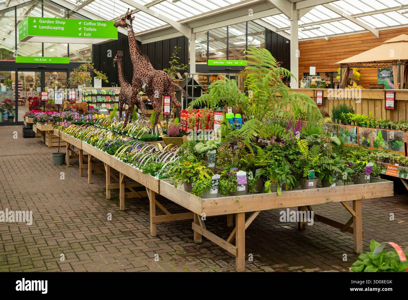 Mappleborough Green Garden Centre Stock Photo