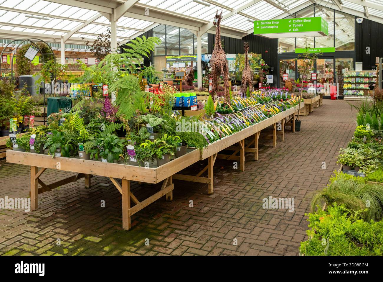 Mappleborough Green Garden Centre Stock Photo