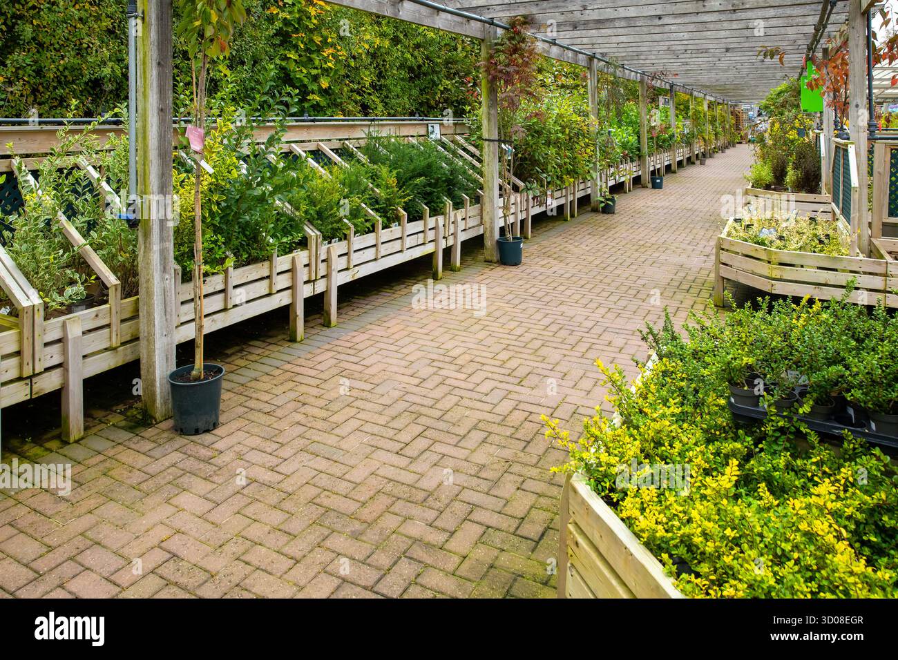 Mappleborough Green Garden Centre Stock Photo