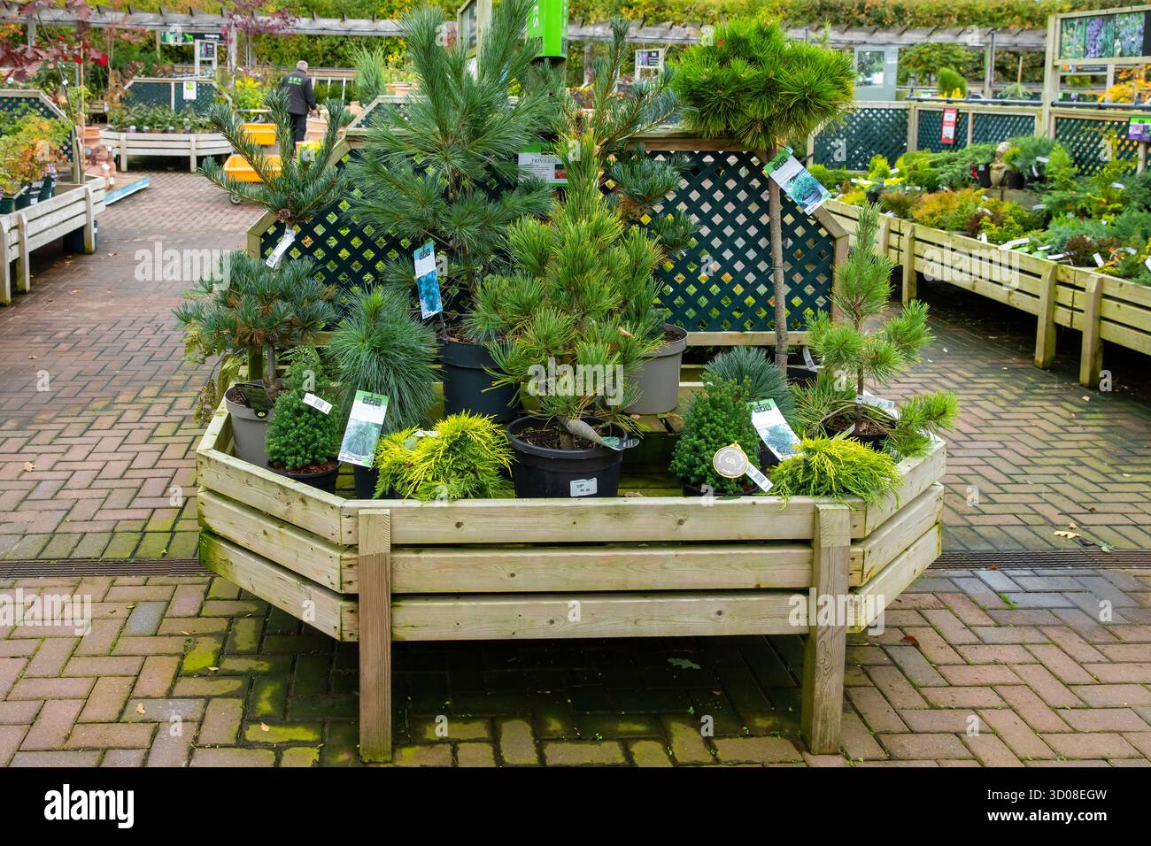 Mappleborough Green Garden Centre Stock Photo