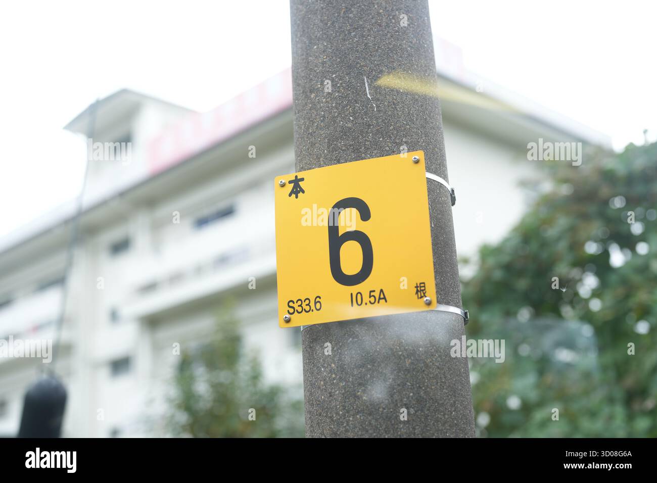 A yellow sign with the number 6 on it is attached to a pole. The sign ...