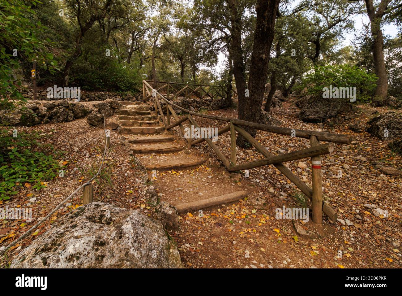 Stairs made of logs on the trail in Font Roja Natural Park, Alcoy, Spain Stock Photo