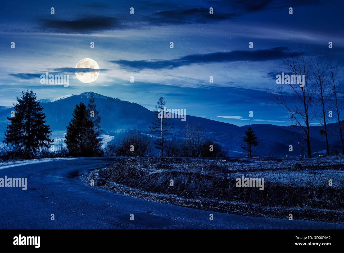 country road in mountains at night. beautiful countryside landscape in late autumn. fir trees on the roadside in full moon light. scenic view of blue Stock Photo