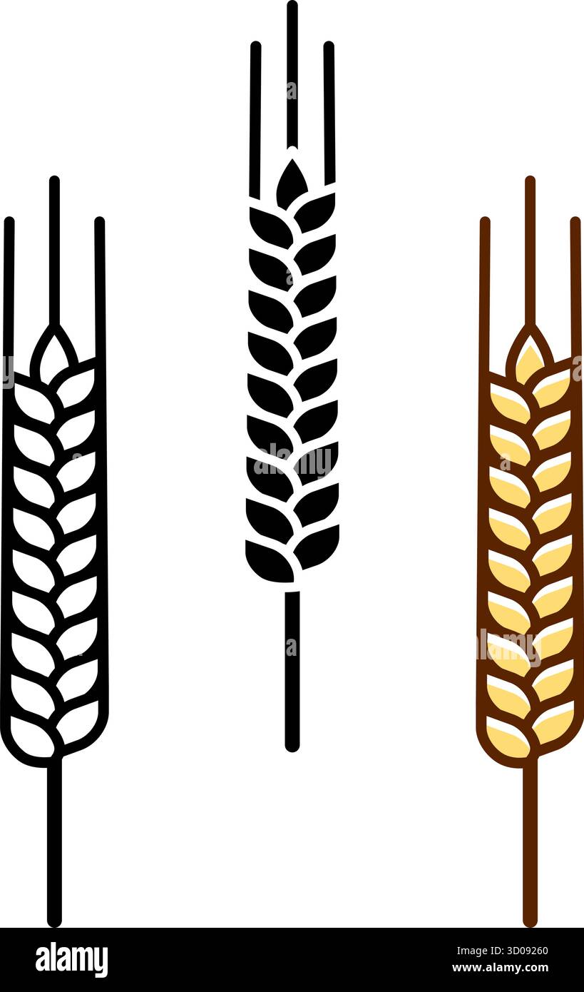 simple wheat ears logo symbol icon set vector on transparent background Stock Vector