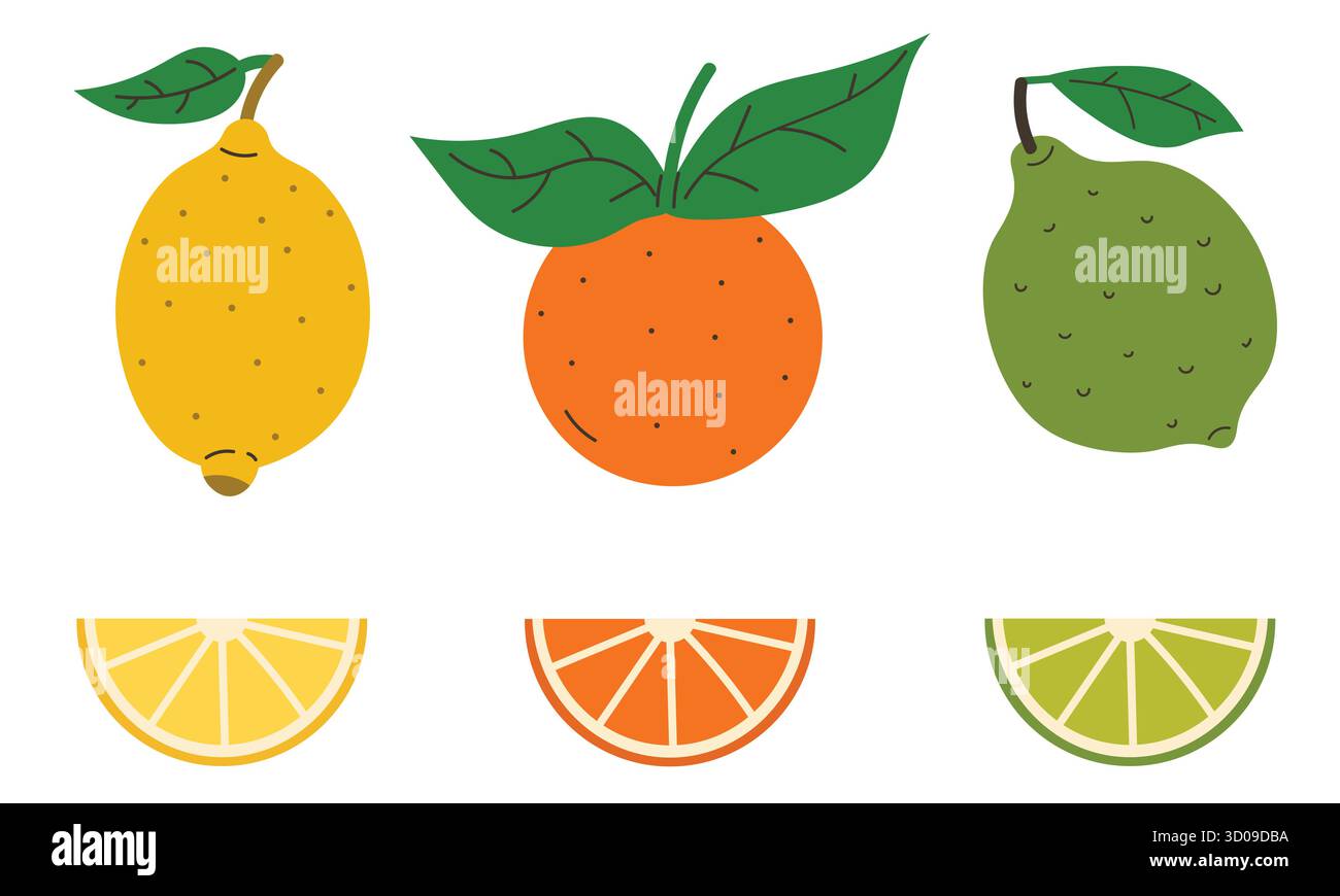 Set of citrus fruits like lemon, lime, orange with leaves and wedges in ...