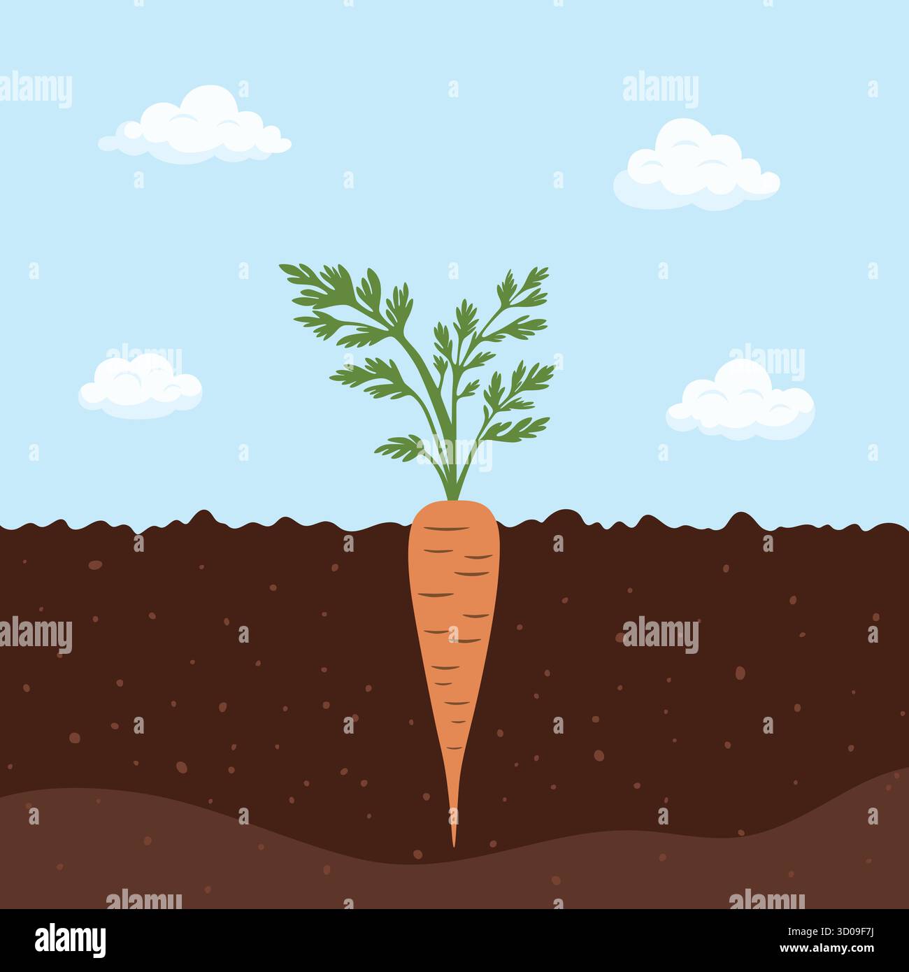 Soil profile cross section hi-res stock photography and images - Alamy