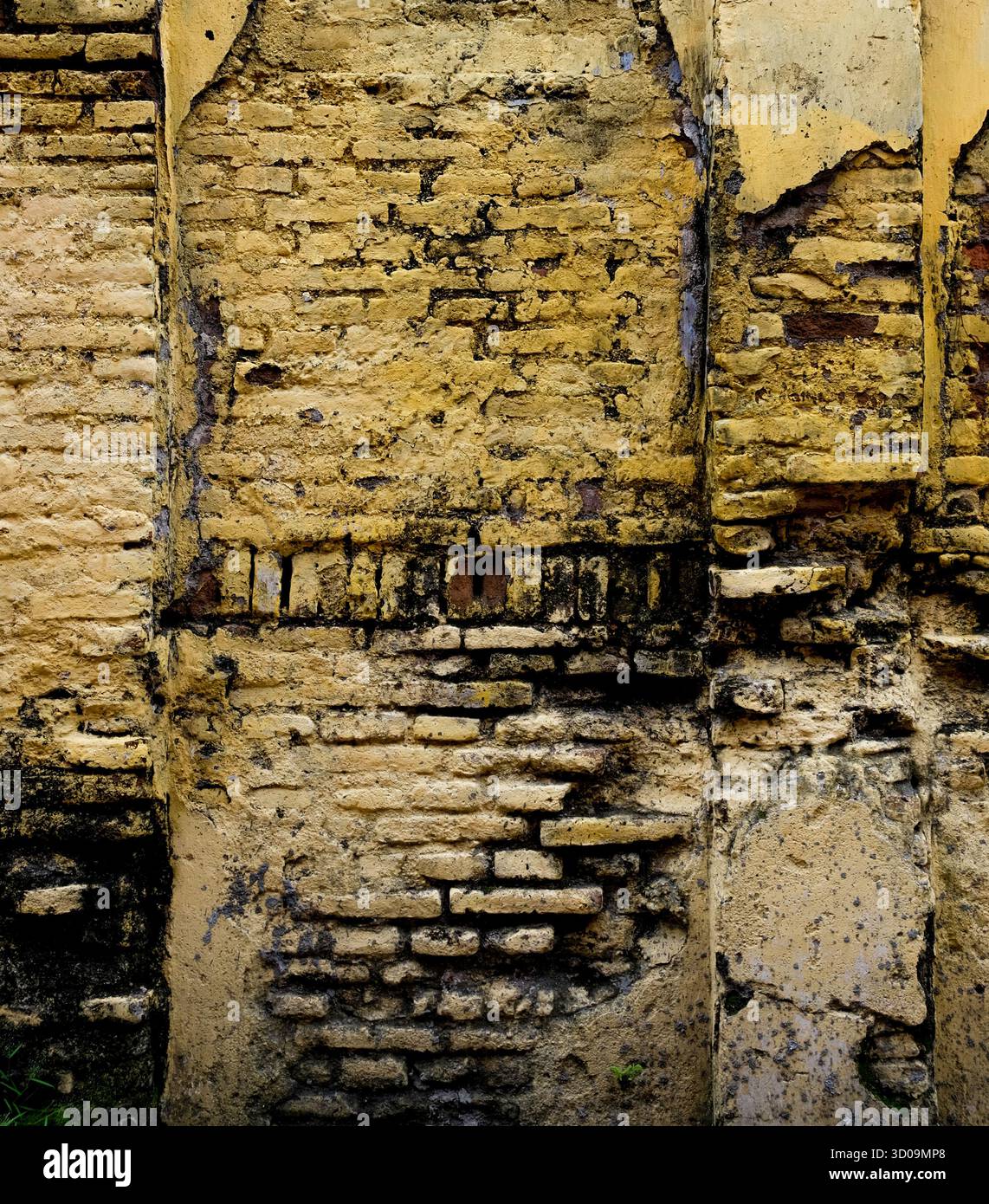 Yellow old brick wall for background Stock Photo