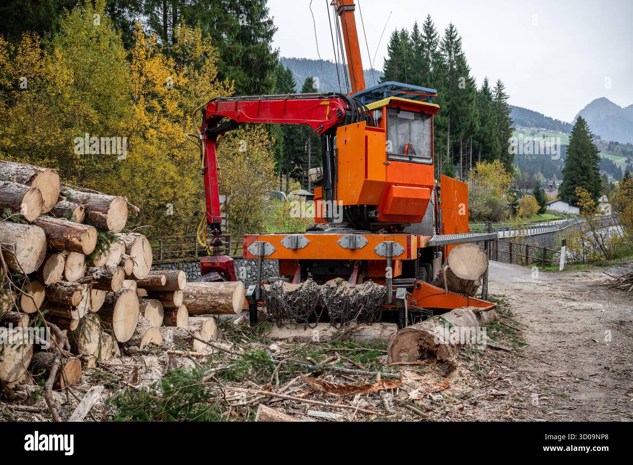 Forestry machine cutting and processing logs during wood harvesting in mountain forest area Stock Photo