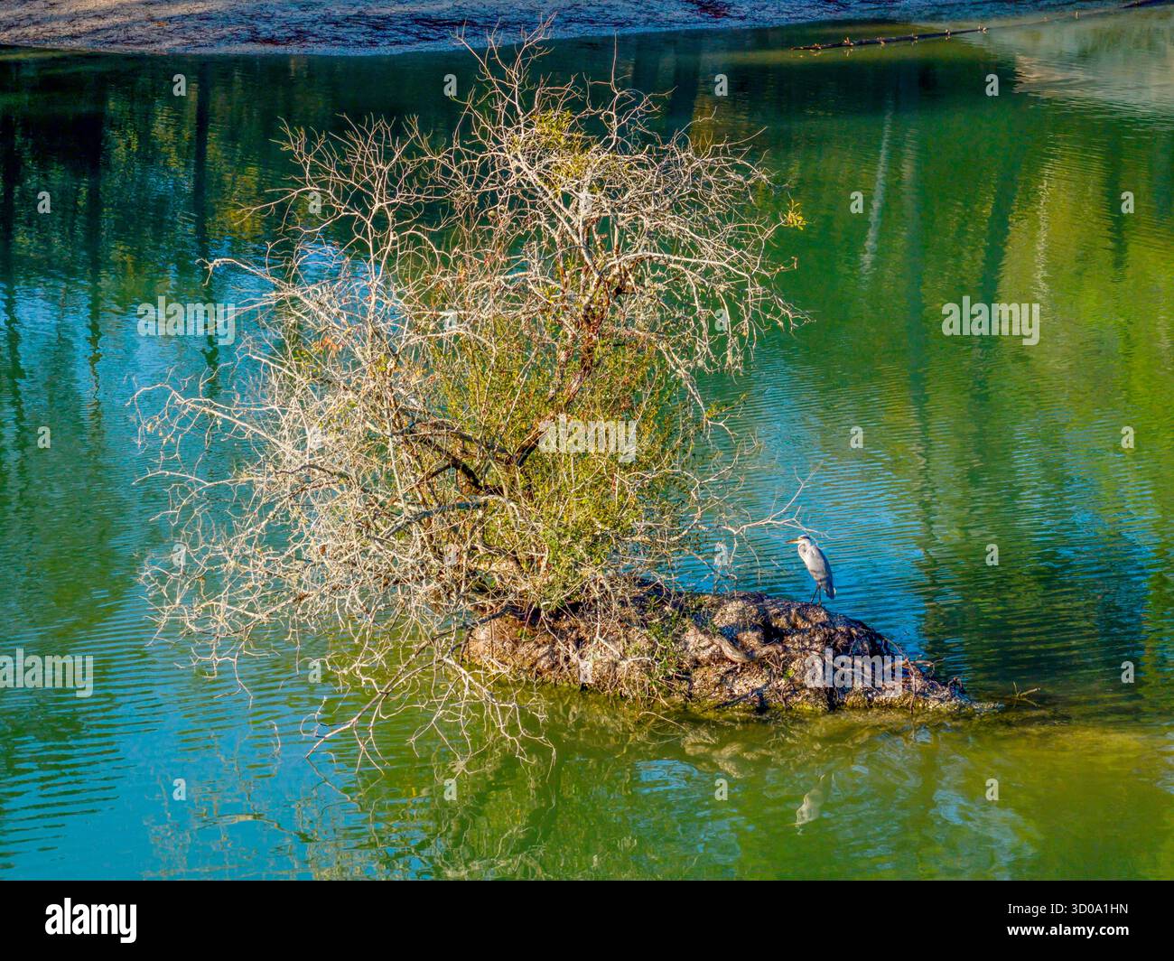 France, Gironde, Leognan, blue lake Stock Photo