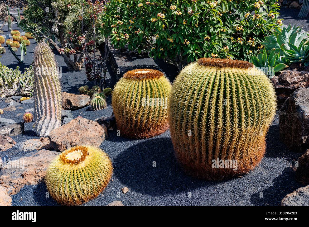 Ancienne roche volcanique hires stock photography and images Alamy — free download