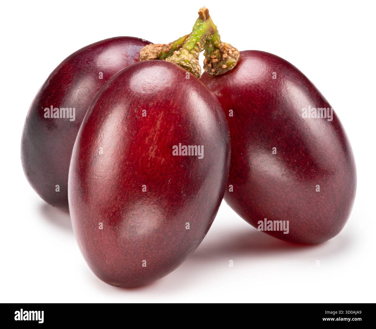 Table Grape Bunch Ripe Ripe red table grape berries on white background. File contains ...