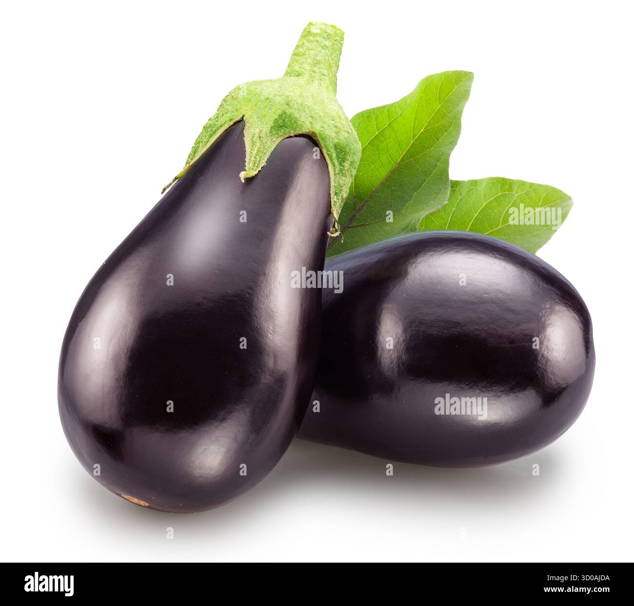 Two aubergines or eggplants isolated on white background. File contains clipping path. Stock Photo