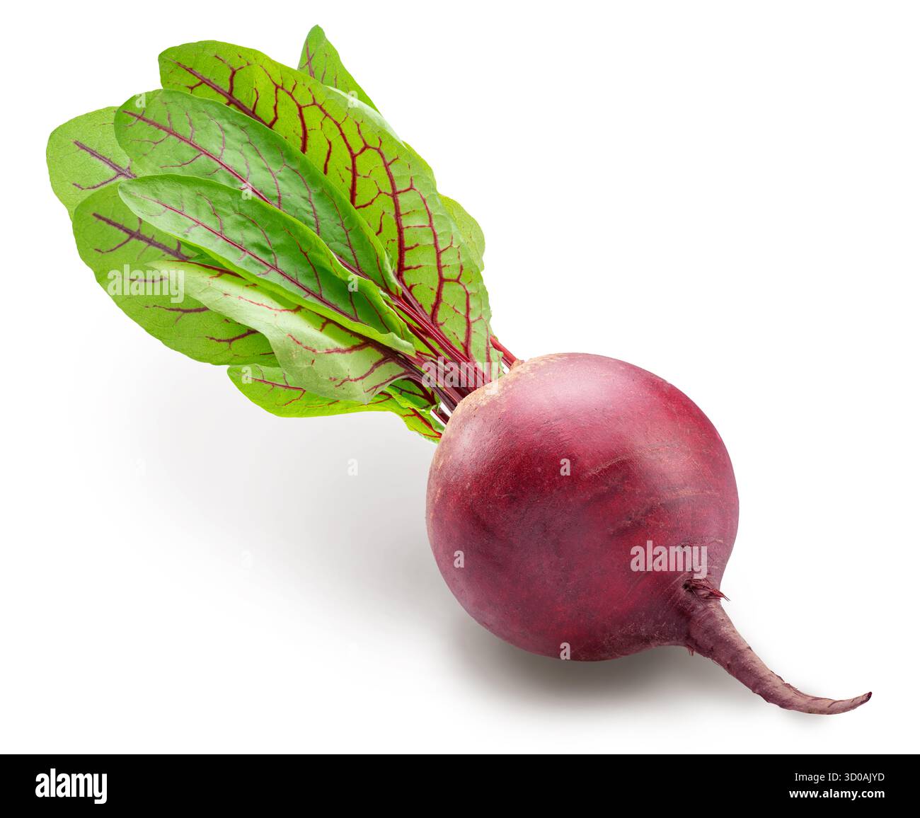 Raw red beetroot with beetroot leaves on white background. File contains clipping path. Stock Photo