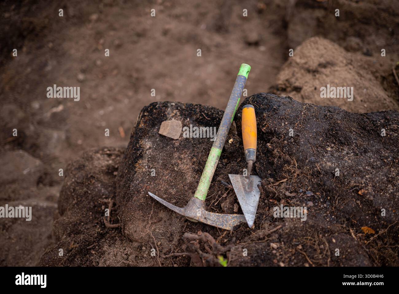 The essential equipment for an archaeological dig The Tools of ...