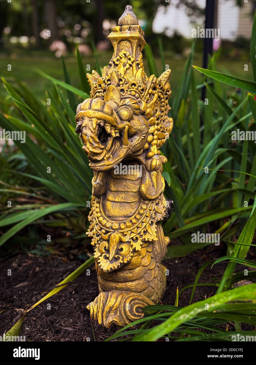 Symchych - Smartphone Captured Stock Image