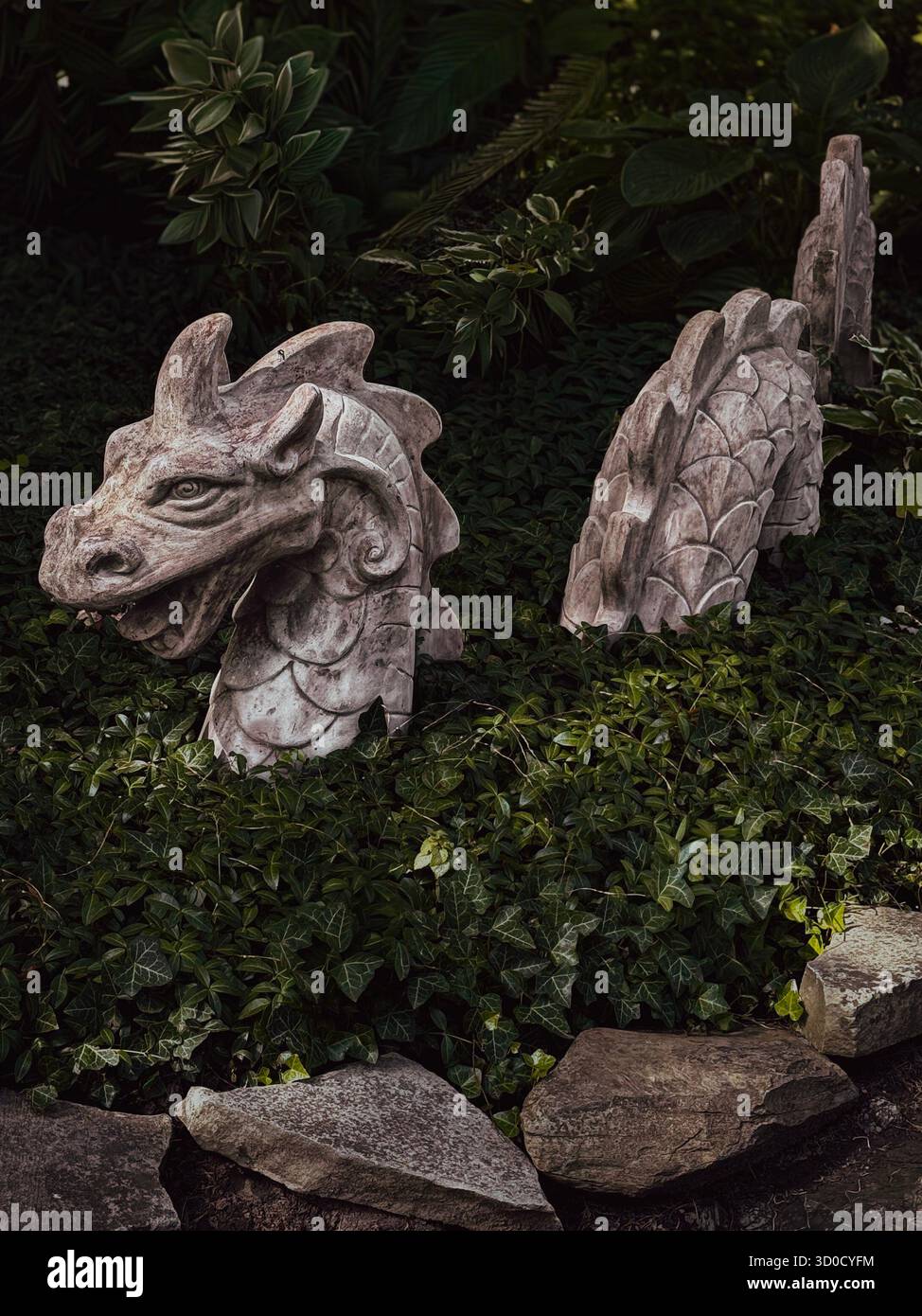 Symchych - Smartphone Captured Stock Image