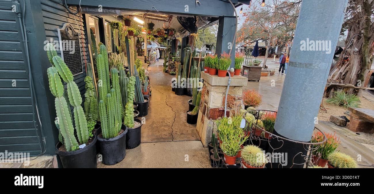 Cactus and Succulent Shop in Wimberley, Texas Hill Country Stock Photo ...