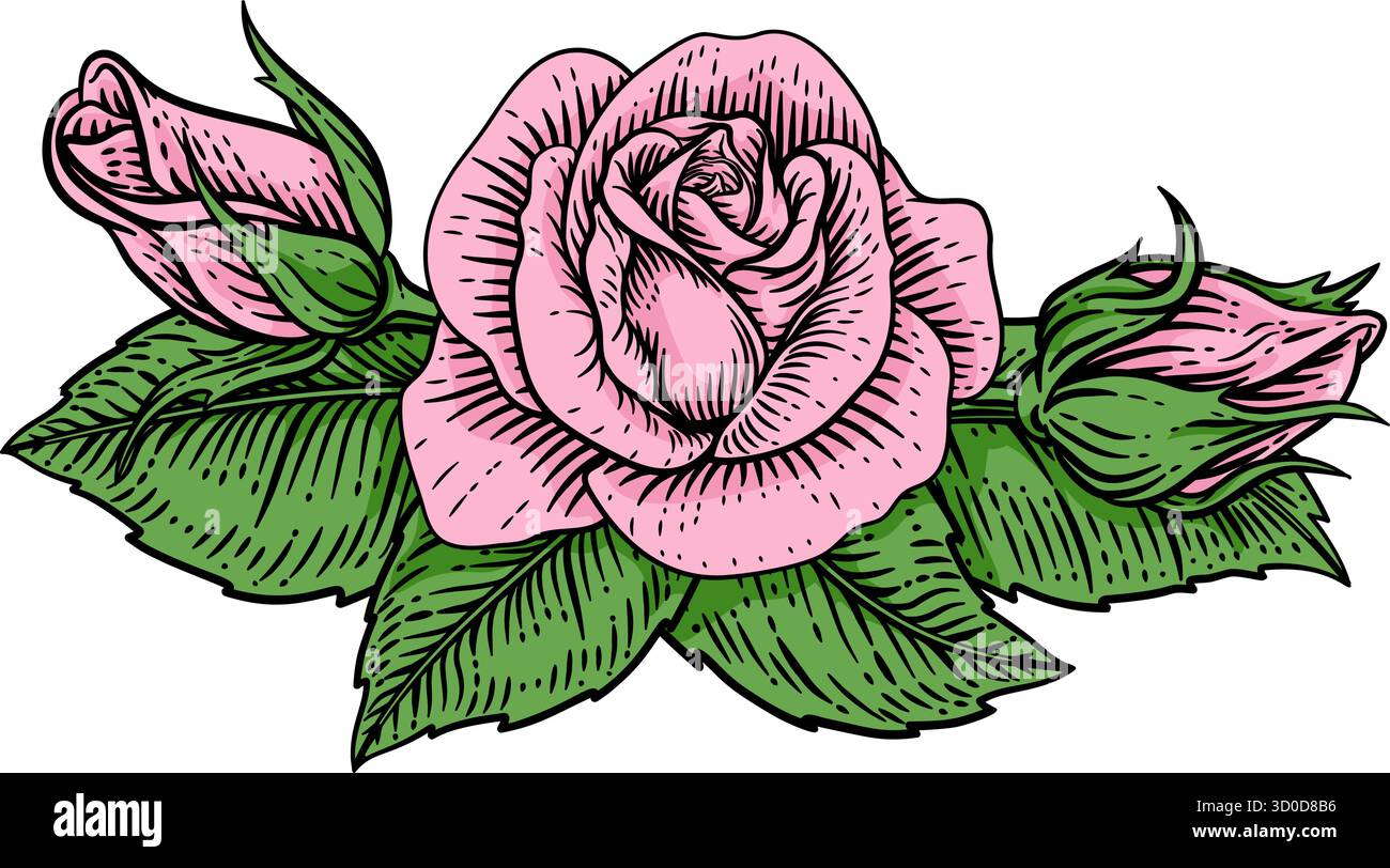 Rose Flower Woodcut Engraved Etching Illustration Stock Vector Image ...