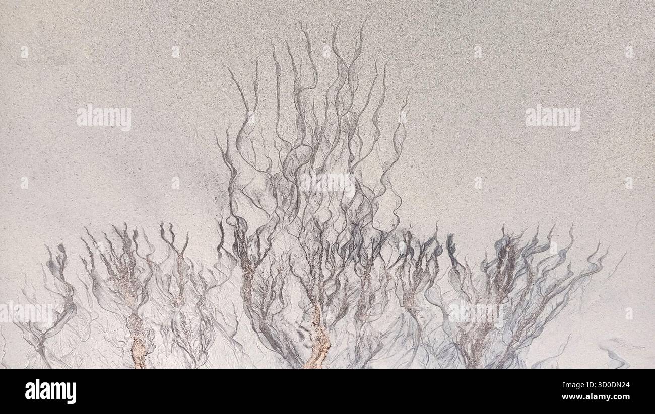 Abstract cracks and lines on sand top view, cracked sandy texture, creative art background, grunge pattern, aged surface, dry arid ground, tree branch Stock Photo