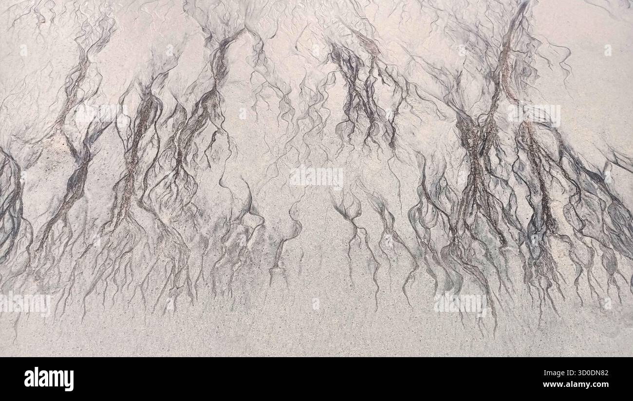 Abstract cracks and lines on sand top view, cracked sandy texture, creative art background, grunge pattern, aged surface, dry arid ground, tree branch Stock Photo