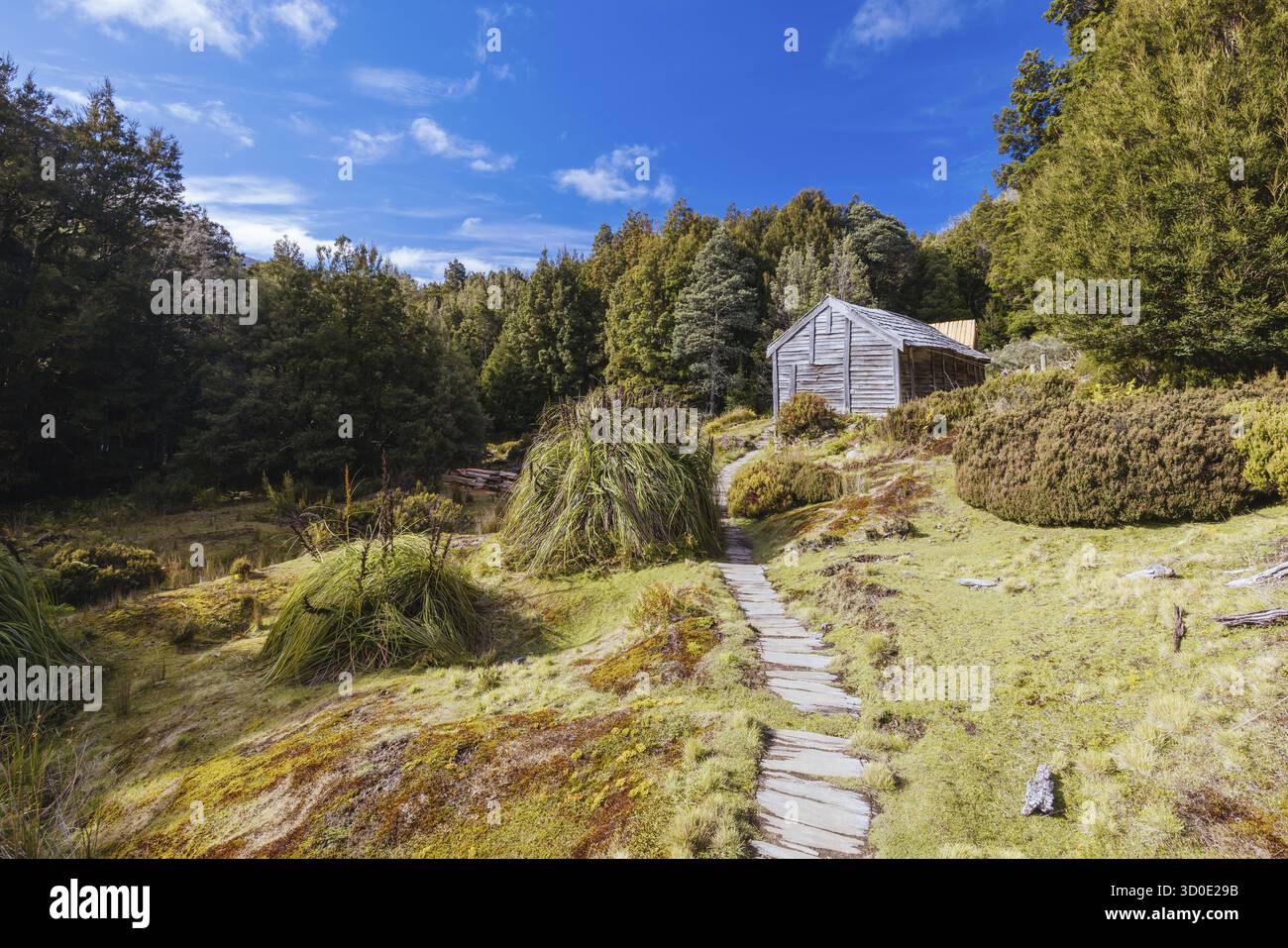 Iconic Du Cain Hut built by Patrick Joseph Paddy Hartnett on the ...