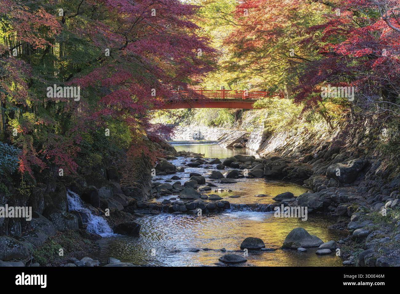 Autumn fall foliage color surrounding Katsura River and a red wooden ...