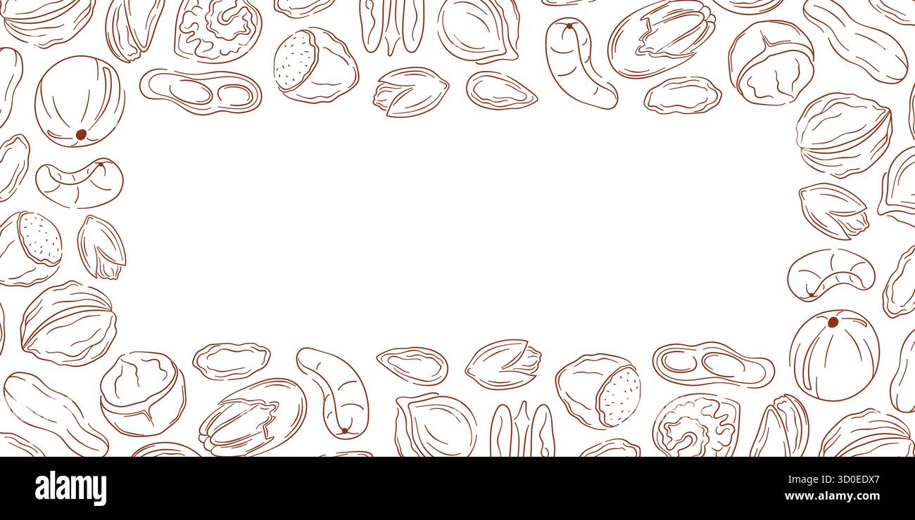 Nut Shell Frame Empty nutshell Stock Vector Images - Alamy