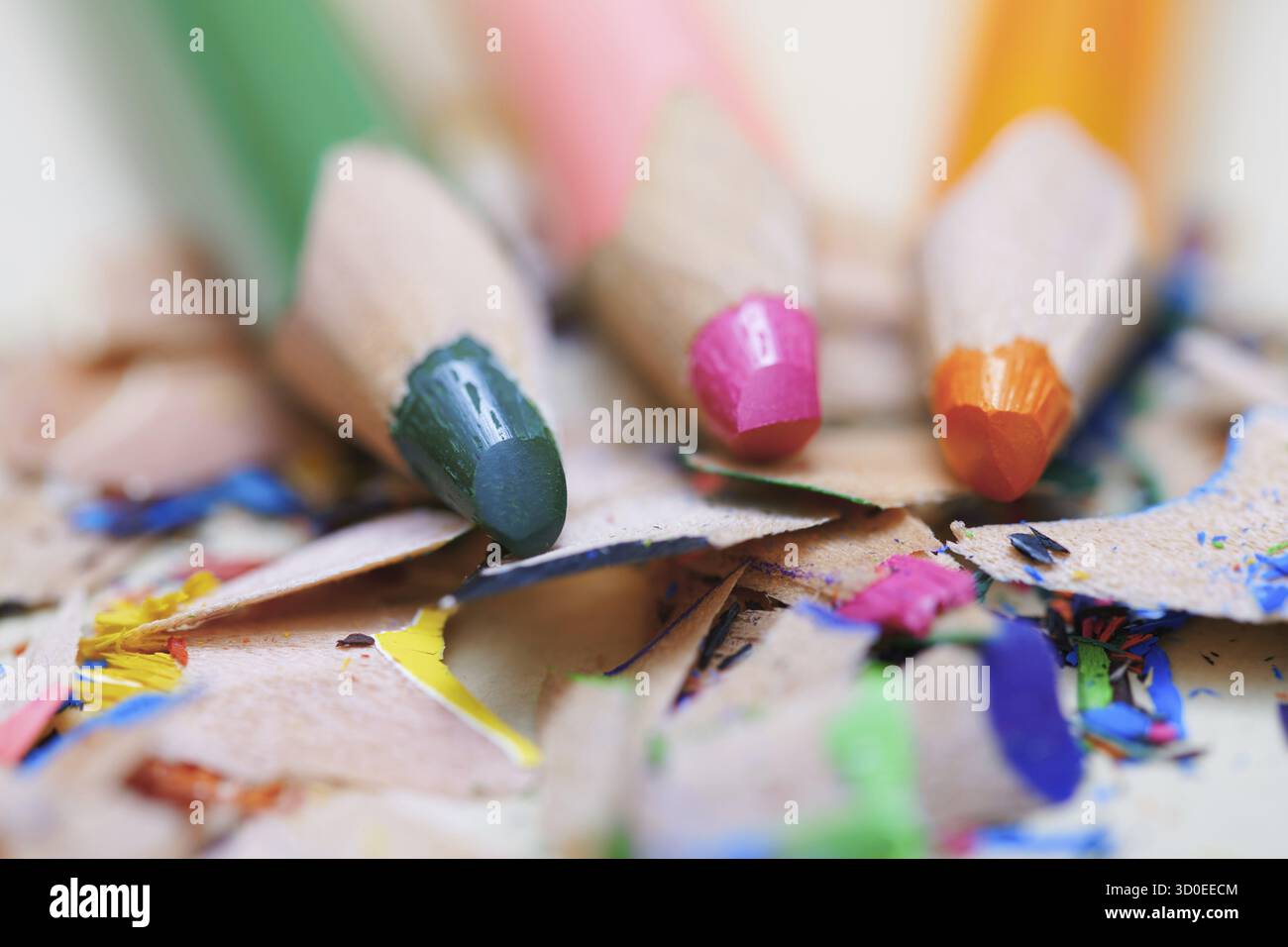 Closeup on sharpened colored pencils with shavings Stock Photo