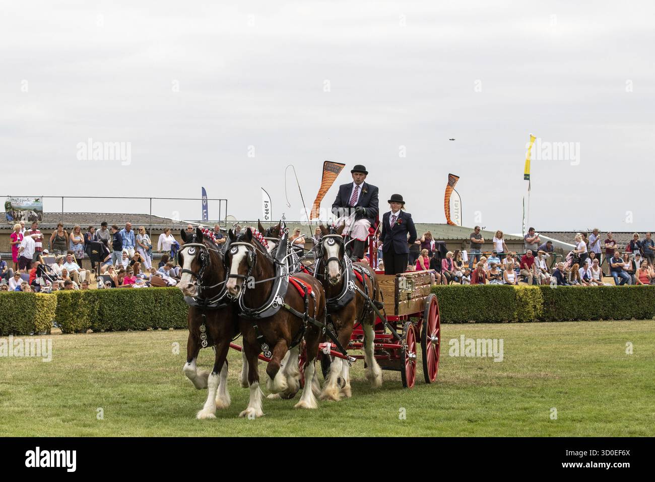 Harrogate Races Harrogate, North Yorkshire, UK - July 12th, 2018: Heavy Horses Turnout ...