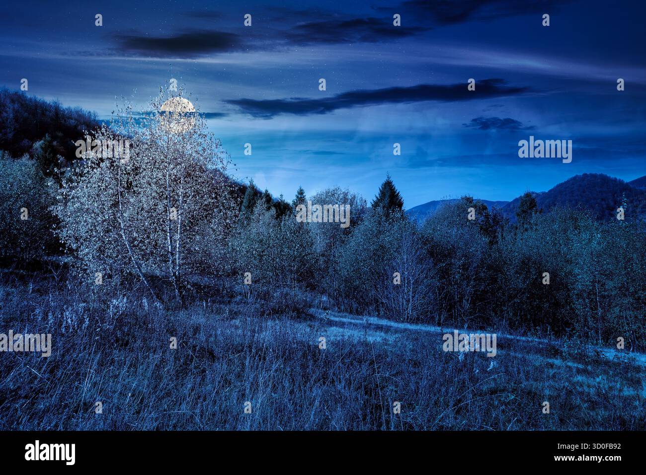 landscape with autumn forest at night. nature park with birch and beech trees in colorful foliage. clouds on sky above mountains. horizontal mystery b Stock Photo