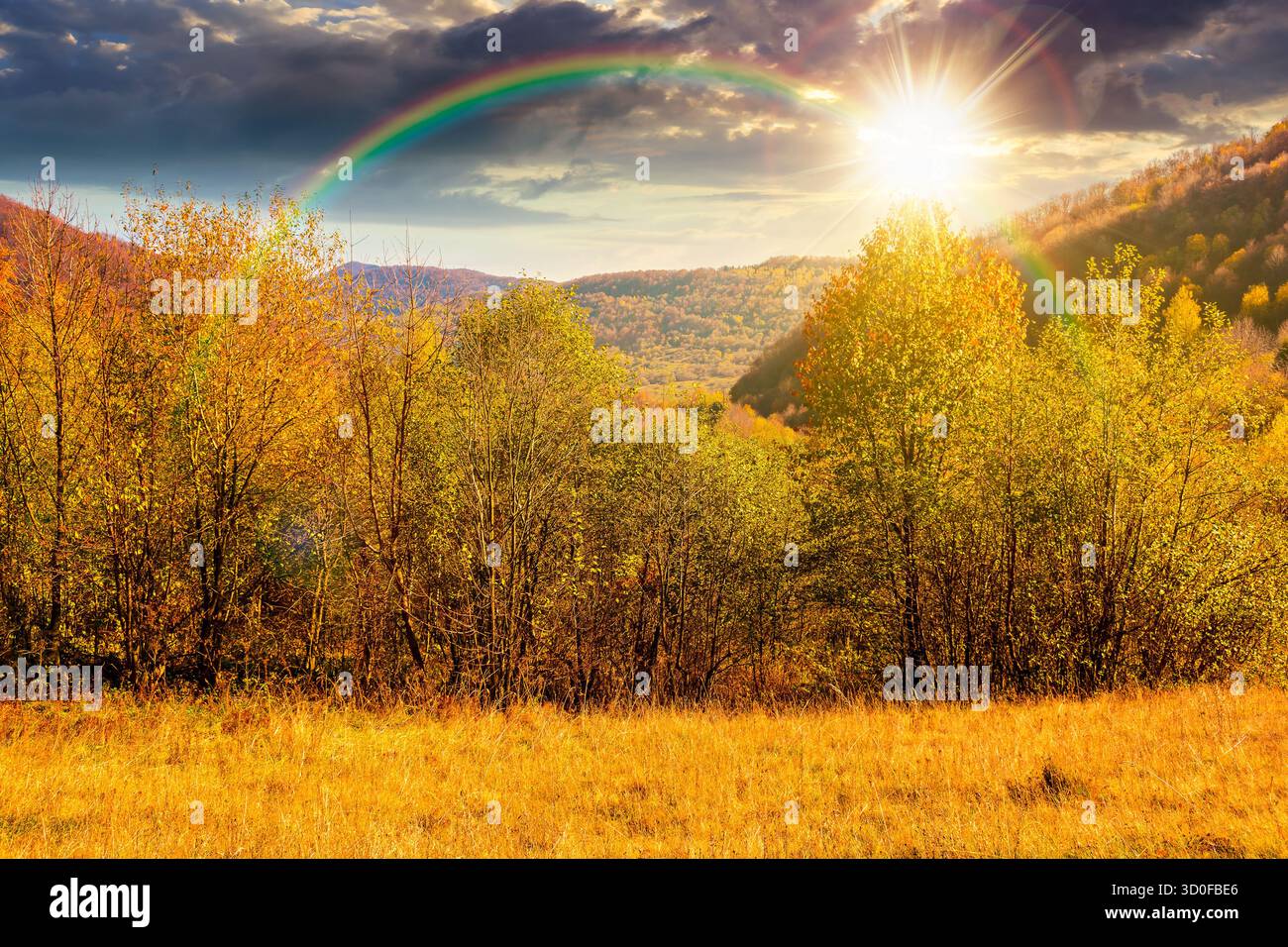 landscape with autumn forest at sunset. nature park with birch trees in colorful foliage in evening light. clouds on sky above mountains. horizontal t Stock Photo