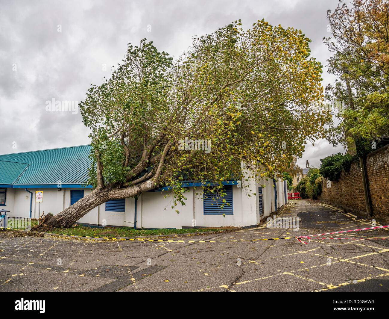 54 strong hi-res stock photography and images - Alamy