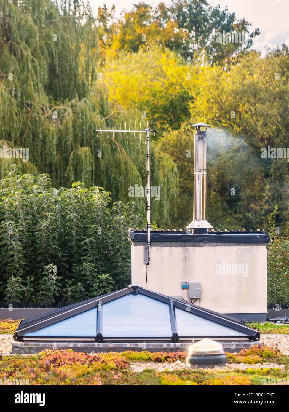 Vibrant colors of Fall surround a Green eco-friendly roof on an Autumn afternoon,and smoking wood fire chimney,where many colorful small plants grow,s Stock Photo