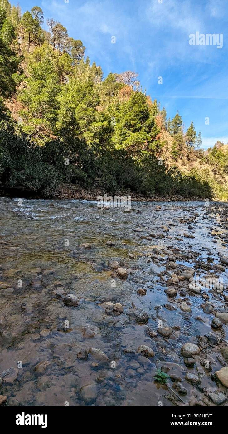 Clear, shallow river flowing over a bed of smooth, wet stones and pebbles, reflecting the bright blue sky above - Smartphone Captured Stock Image