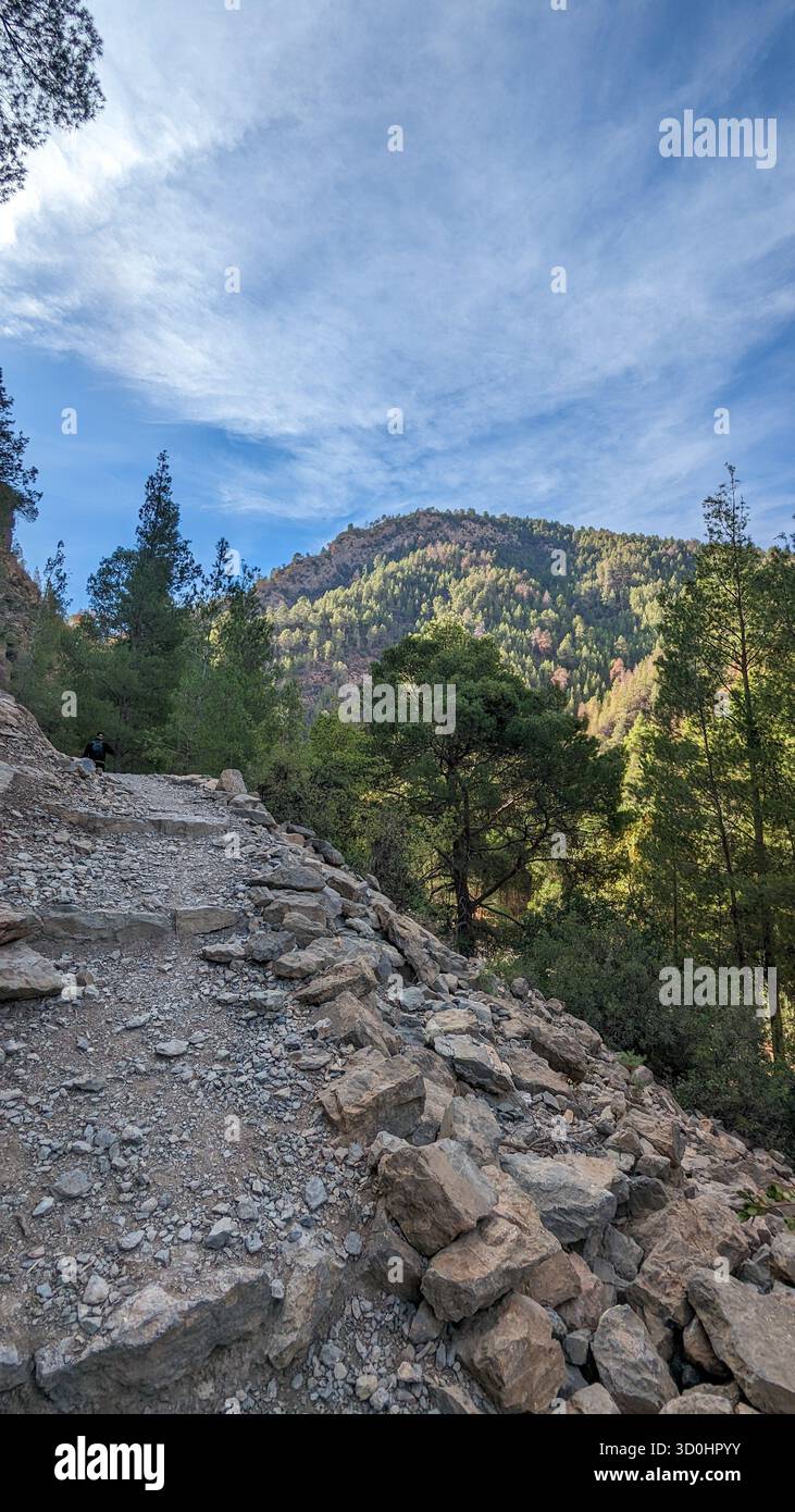 rocky mountain trail through dense conifer forest under a blue sky, symbolizing adventure, endurance, and wild beauty - Smartphone Captured Stock Image