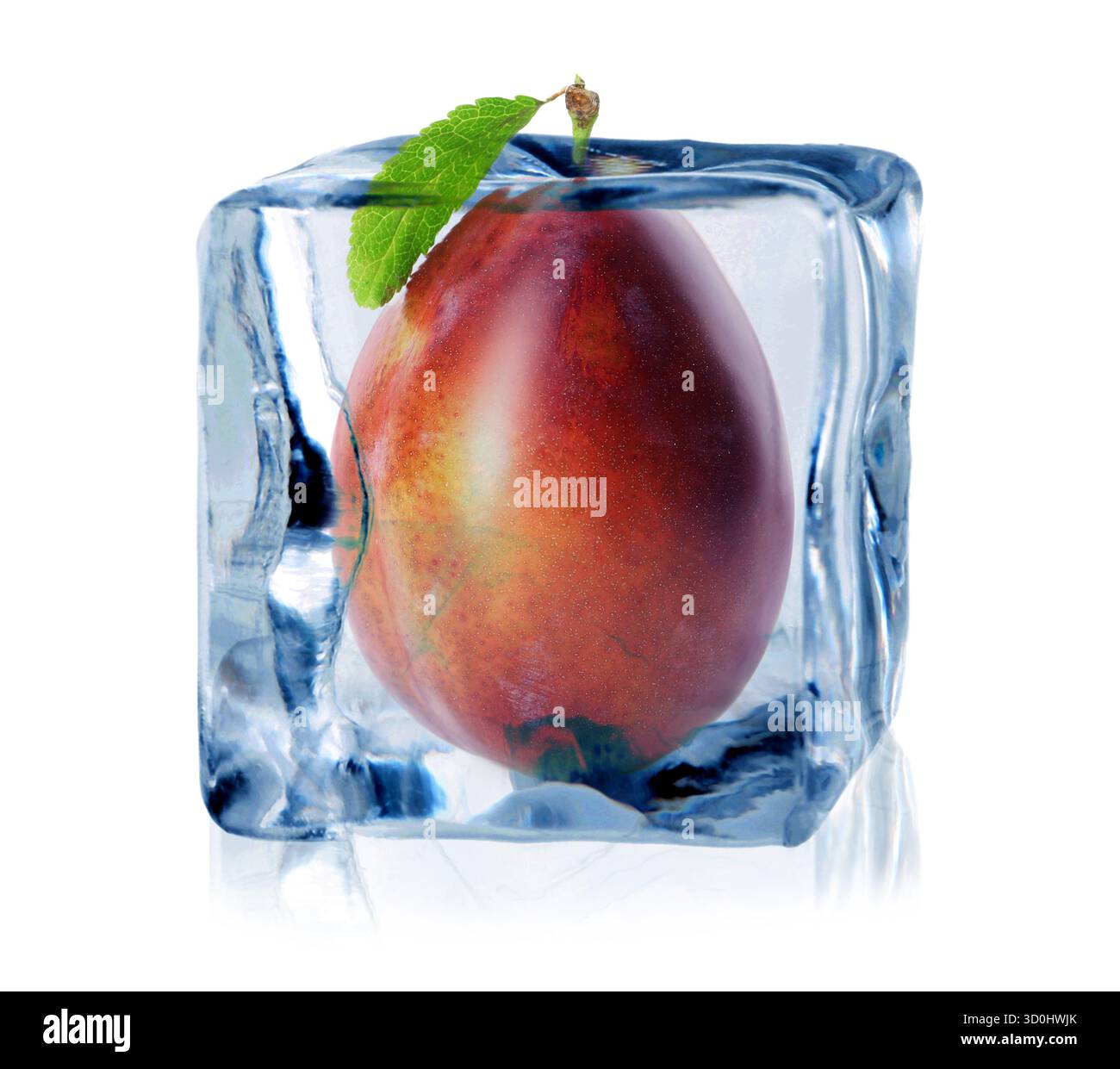 Fresh plum inside ice cube isolated on white Stock Photo