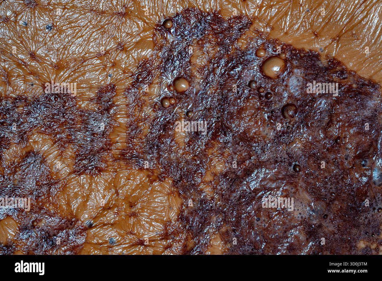Thick foam on the surface of cocoa drinks, close up, top view. Backgrounds and texture cocoa milk foam Stock Photo