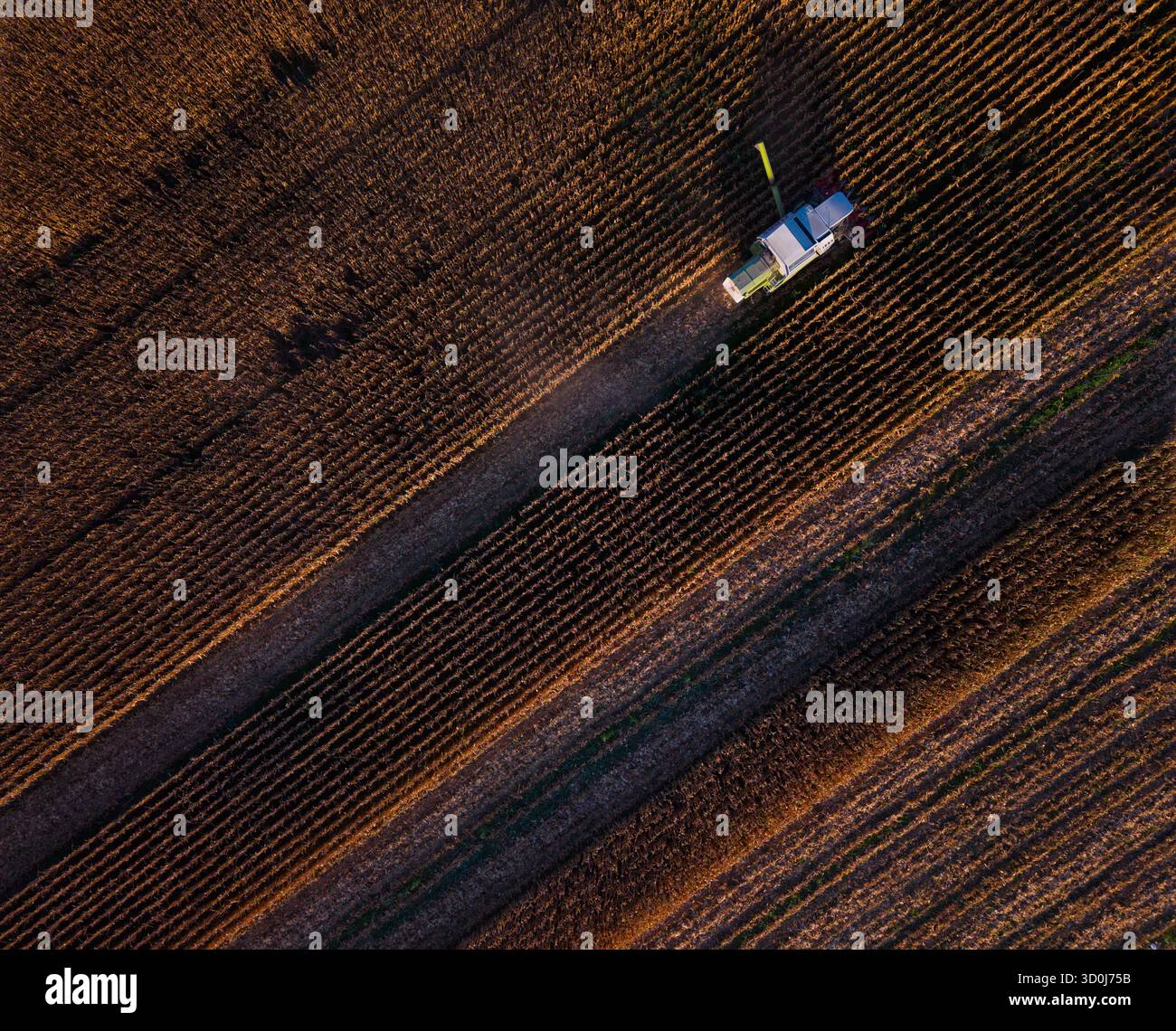 Agricultura de maiz hi-res stock photography and images - Alamy