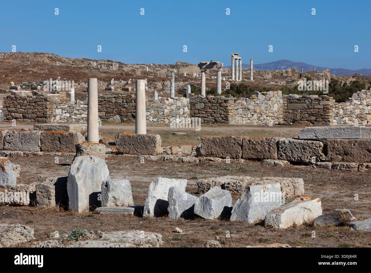 Delos Inscription Column Greek columns at the World Heritage site of Delos island an ancient ...