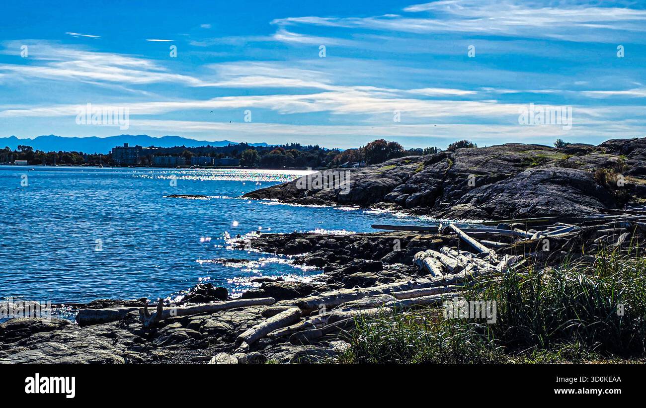 Sparkling Blue Waters and Driftwood Under a Clear Sky - Smartphone Captured Stock Image