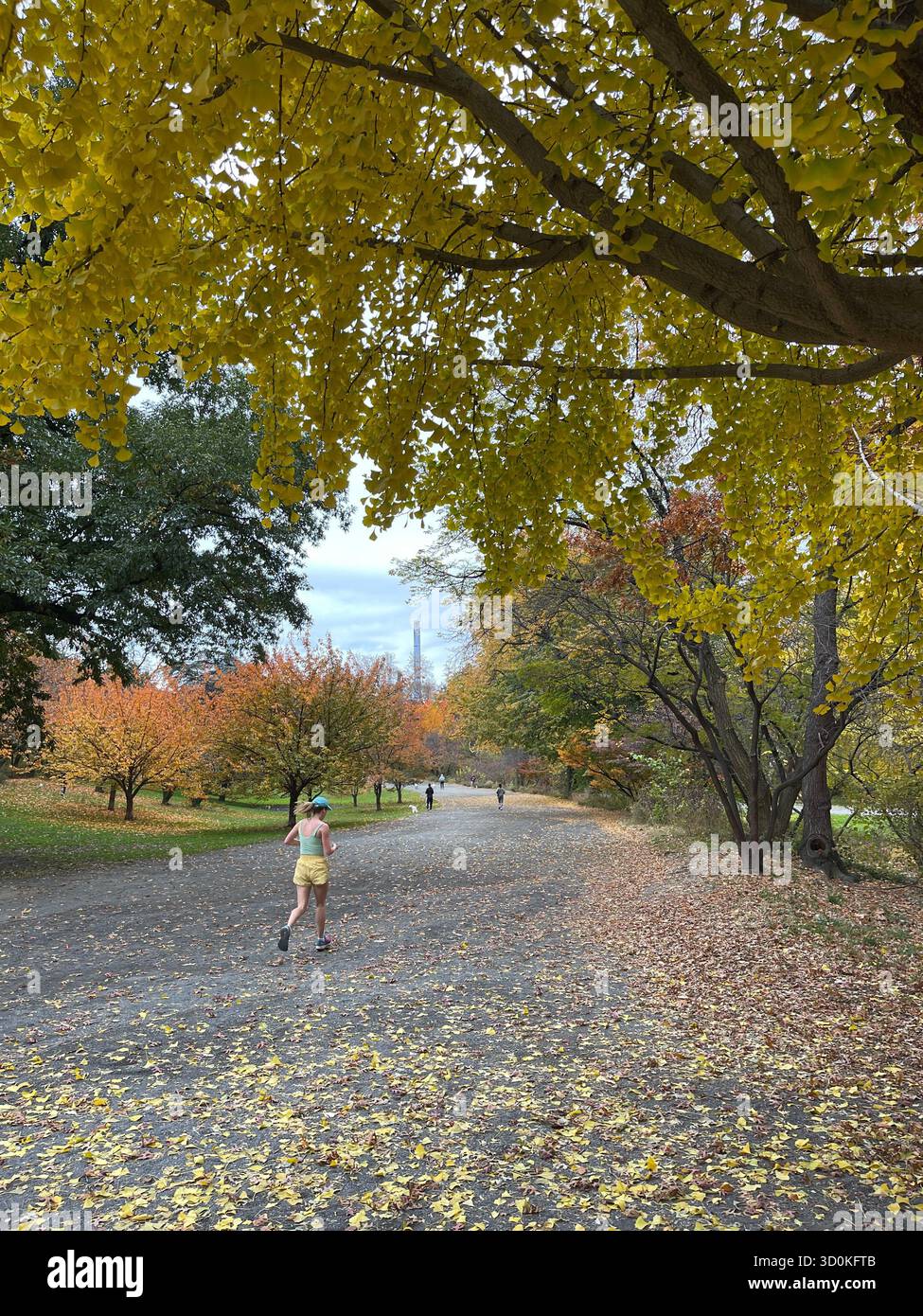 Runners in Central Park — a burst of color and energy in the heart of NYC - Smartphone Captured Stock Image