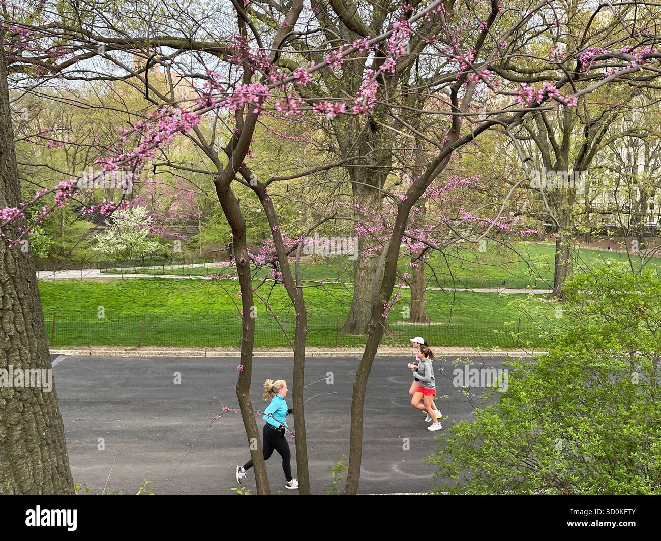 Runners in Central Park — a burst of color and energy in the heart of NYC - Smartphone Captured Stock Image