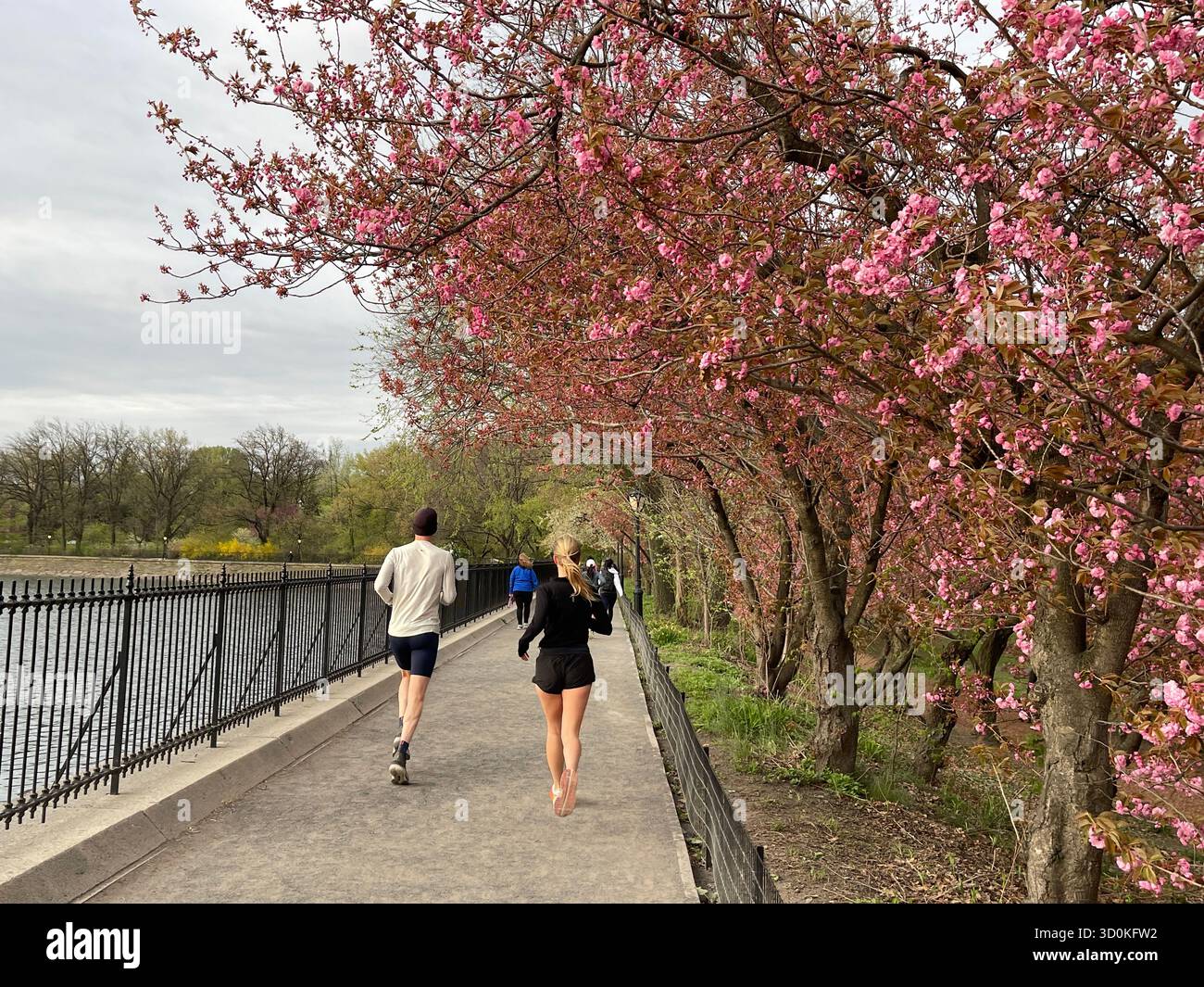 Runners in Central Park — a burst of color and energy in the heart of NYC - Smartphone Captured Stock Image