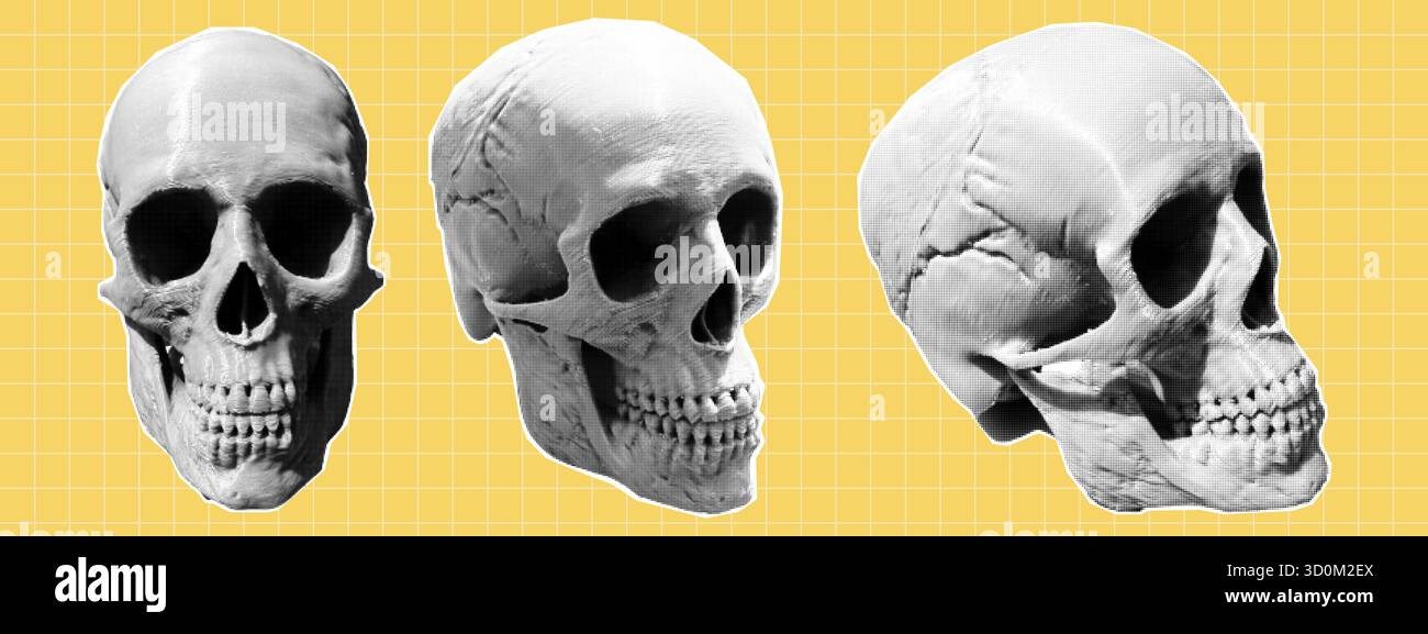 Halftone skull. Punk collage. Vintage gothic skeleton head in trendy y2k pop art style Stock Vector