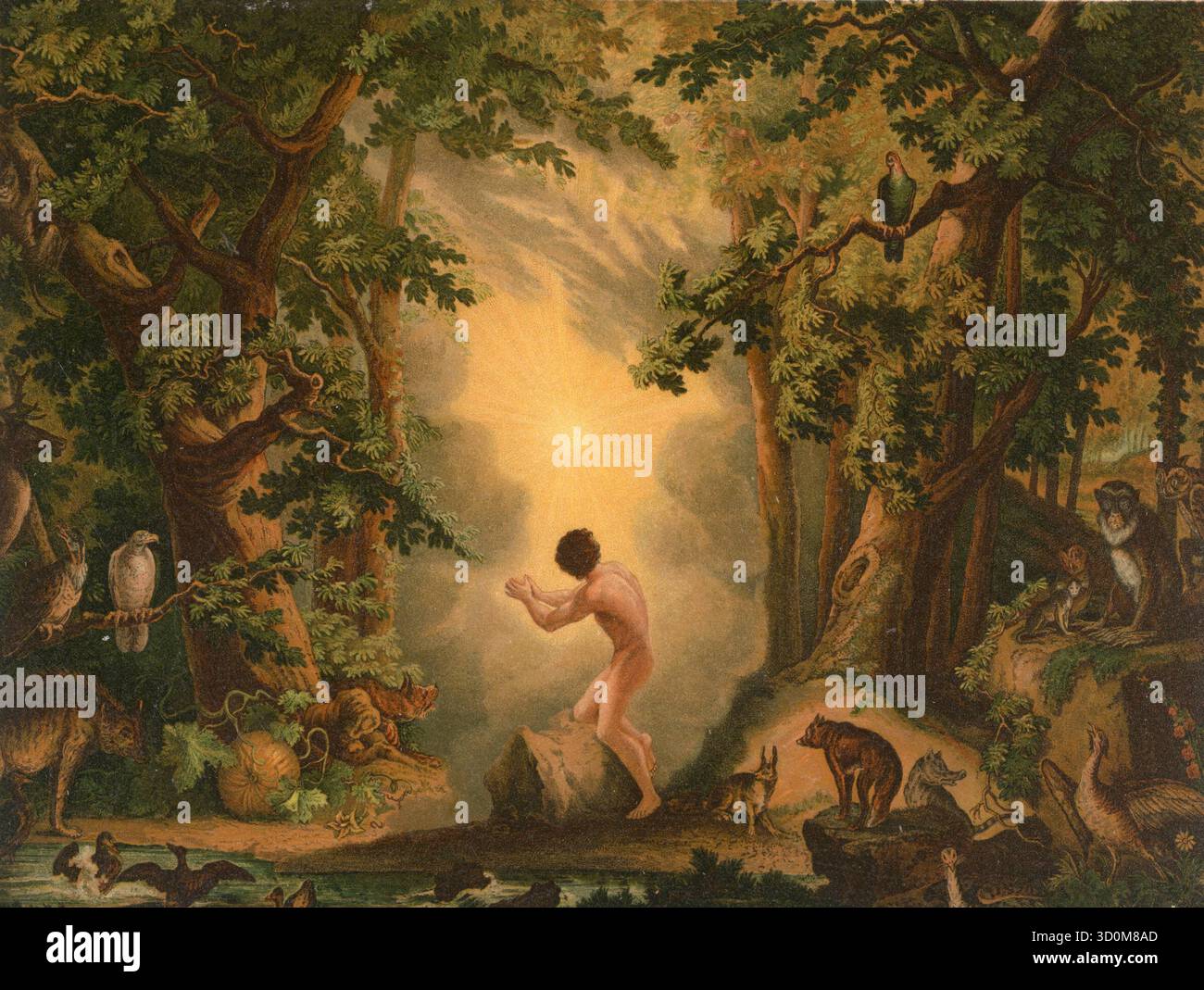 Biblische Szene, Bibel, Die Erschaffung von Adam, zentrale Szene aus dem Buch Genesis, in der Gottvater den ersten Menschen, Adam, erschafft, Illustra Stock Photo