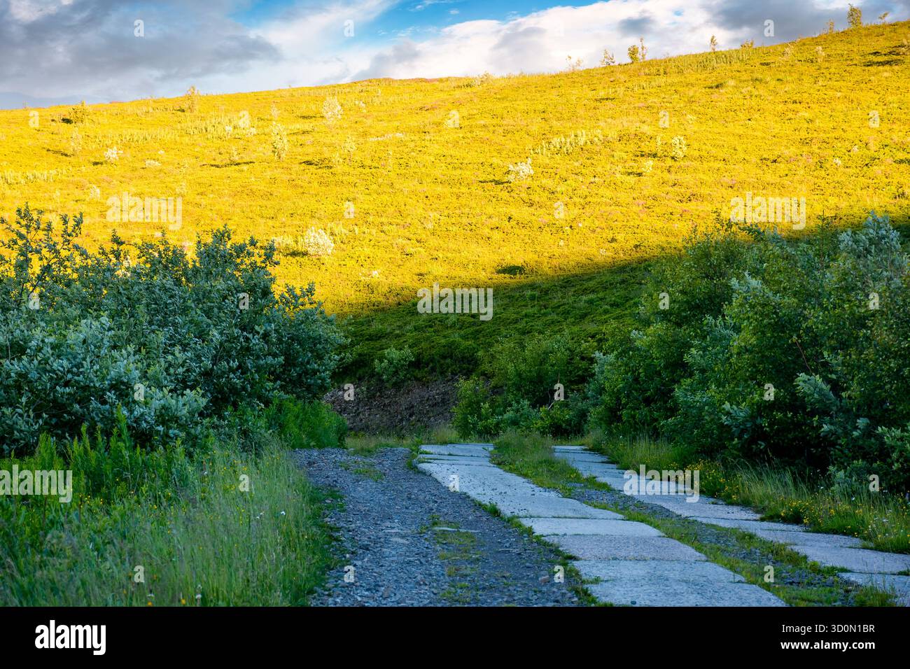 concrete road through carpathian mountains in morning light. cracked pavement of old military path near the steep green hill. summer landscape of ukra Stock Photo